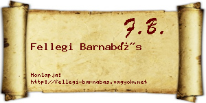 Fellegi Barnabás névjegykártya