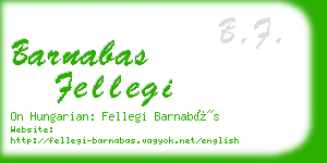 barnabas fellegi business card